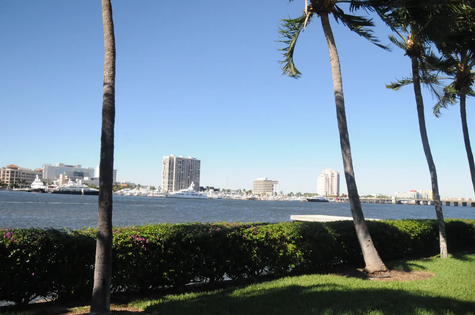 Palm-lined Intracoastal Waterway with yachts and the West Palm Beach skyline, Palm Beach County, Florida